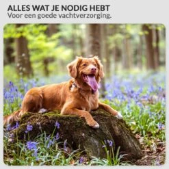 Krachtige Hondenföhn/ Waterblazer Met Draaiknop Om Overtollig Water En Stof Snel Uit De Vacht Te Blazen | Verstelbare Vermogen Standen (500W Tot 2200W) En Verstelbare Temperatuur - Type B Oranje -Hondenbenodigdheden 1200x1200 491