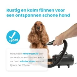 Qumax Professionele Hondenföhn Met 4 Opzetstukken – Waterblazer Voor Honden – Stil Design – Compact En Modern - Zwart -Hondenbenodigdheden 1200x1200 512