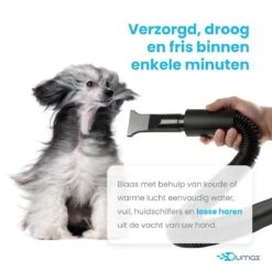 Qumax Professionele Hondenföhn Met 4 Opzetstukken – Waterblazer Voor Honden – Stil Design – Compact En Modern - Zwart -Hondenbenodigdheden 1200x1200 516