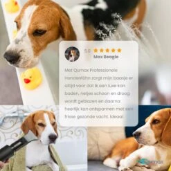 Qumax Professionele Hondenföhn Met 4 Opzetstukken – Waterblazer Voor Honden – Stil Design – Compact En Modern - Zwart -Hondenbenodigdheden 1200x1200 517