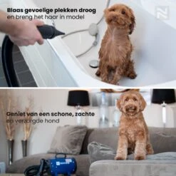 Nuvoo Professionele Hondenföhn / Waterblazer / Hondenborstel Met 3 Opzetstukken - Verstelbare Vermogen Tot 2200W - Warme / Koude Stand - Blauw 16 Nuvoo Professionele Hondenföhn / Waterblazer / Hondenborstel Met 3 Opzetstukken - Verstelbare Vermogen Tot 2200W - Warme / Koude Stand - Blauw -Hondenbenodigdheden 1200x1200 528