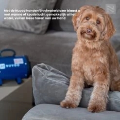 Nuvoo Professionele Hondenföhn / Waterblazer / Hondenborstel Met 3 Opzetstukken - Verstelbare Vermogen Tot 2200W - Warme / Koude Stand - Blauw 20 Nuvoo Professionele Hondenföhn / Waterblazer / Hondenborstel Met 3 Opzetstukken - Verstelbare Vermogen Tot 2200W - Warme / Koude Stand - Blauw -Hondenbenodigdheden 1200x1200 530