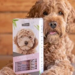 Greenfields Labradoodle Vacht Verzorgingsset - Shampoo En Anti-Klit Spray Voor Langharige Of Krullende Vacht 16 Greenfields Labradoodle Vacht Verzorgingsset - Shampoo En Anti-Klit Spray Voor Langharige Of Krullende Vacht -Hondenbenodigdheden 1200x1200 551