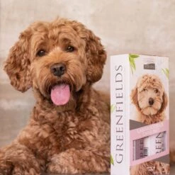 Greenfields Labradoodle Vacht Verzorgingsset - Shampoo En Anti-Klit Spray Voor Langharige Of Krullende Vacht 17 Greenfields Labradoodle Vacht Verzorgingsset - Shampoo En Anti-Klit Spray Voor Langharige Of Krullende Vacht -Hondenbenodigdheden 1200x1200 552