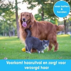 Professionele Ondervacht Kam Voor Hond En Kat S – Hondenborstel – Kattenborstel - Hondenkam –Anti Klit - Haarverwijderaar Voor Huisdieren - Pijnloos - Huisdiervriendelijk – Klittenkam - Voorkomt Haaruitval - Kleine Variant- Black Friday - Sinterklaas 9 Professionele Ondervacht Kam Voor Hond En Kat S – Hondenborstel – Kattenborstel - Hondenkam –Anti Klit - Haarverwijderaar Voor Huisdieren - Pijnloos - Huisdiervriendelijk – Klittenkam - Voorkomt Haaruitval - Kleine Variant- Black Friday - Sinterklaas -Hondenbenodigdheden 1200x1200 590