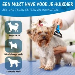 Hoogwaardige 2-Zijdige Hondenkam Hondenborstel Borstel Hond Klittenkam - Ondervacht Kam - Honden Borstel - Honden Kam - Hondenborstel Langharig - Hondenborstel Kortharig - Verwijdert Klitten - Voorkomt Verharing - Blauw - Woodoro 15 Hoogwaardige 2-Zijdige Hondenkam Hondenborstel Borstel Hond Klittenkam - Ondervacht Kam - Honden Borstel - Honden Kam - Hondenborstel Langharig - Hondenborstel Kortharig - Verwijdert Klitten - Voorkomt Verharing - Blauw - Woodoro -Hondenbenodigdheden 1200x1200 601