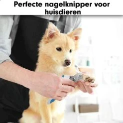 Professionele Nagelschaar|Nagelschaar Hond | Nagelschaar Kat| Nagelknipper Hond En Kat| Nagelknipper Kat| Nagelknipper Hond|NagelTang Dieren|Poot Verzorging -Hondenbenodigdheden 1200x1200 658