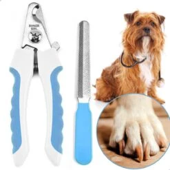Professionele Nagelschaar|Nagelschaar Hond | Nagelschaar Kat| Nagelknipper Hond En Kat| Nagelknipper Kat| Nagelknipper Hond|NagelTang Dieren|Poot Verzorging -Hondenbenodigdheden 1200x1200 661