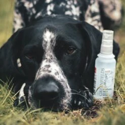 Hondenparfum Spray In 4 Geuren - Greenfields - Alchoholvrije En PH Neutrale Formule Tegen Onaangename Geurtjes - 50ml - Exotic -Hondenbenodigdheden 1200x1200 670