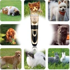 Thuys Hondentondeuse Set Voor Dikke Vacht - Tondeuse Set Voor Honden Draadloos - Set Voor Langharige Honden Met 4 Opzetstukken 12 Thuys Hondentondeuse Set Voor Dikke Vacht - Tondeuse Set Voor Honden Draadloos - Set Voor Langharige Honden Met 4 Opzetstukken -Hondenbenodigdheden 1200x1200 690