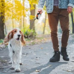 Hondenriem Tape - 5 Meter - Medium - Voor Honden <25 Kg - Zwart-Wit -Hondenbenodigdheden 1200x1200 71