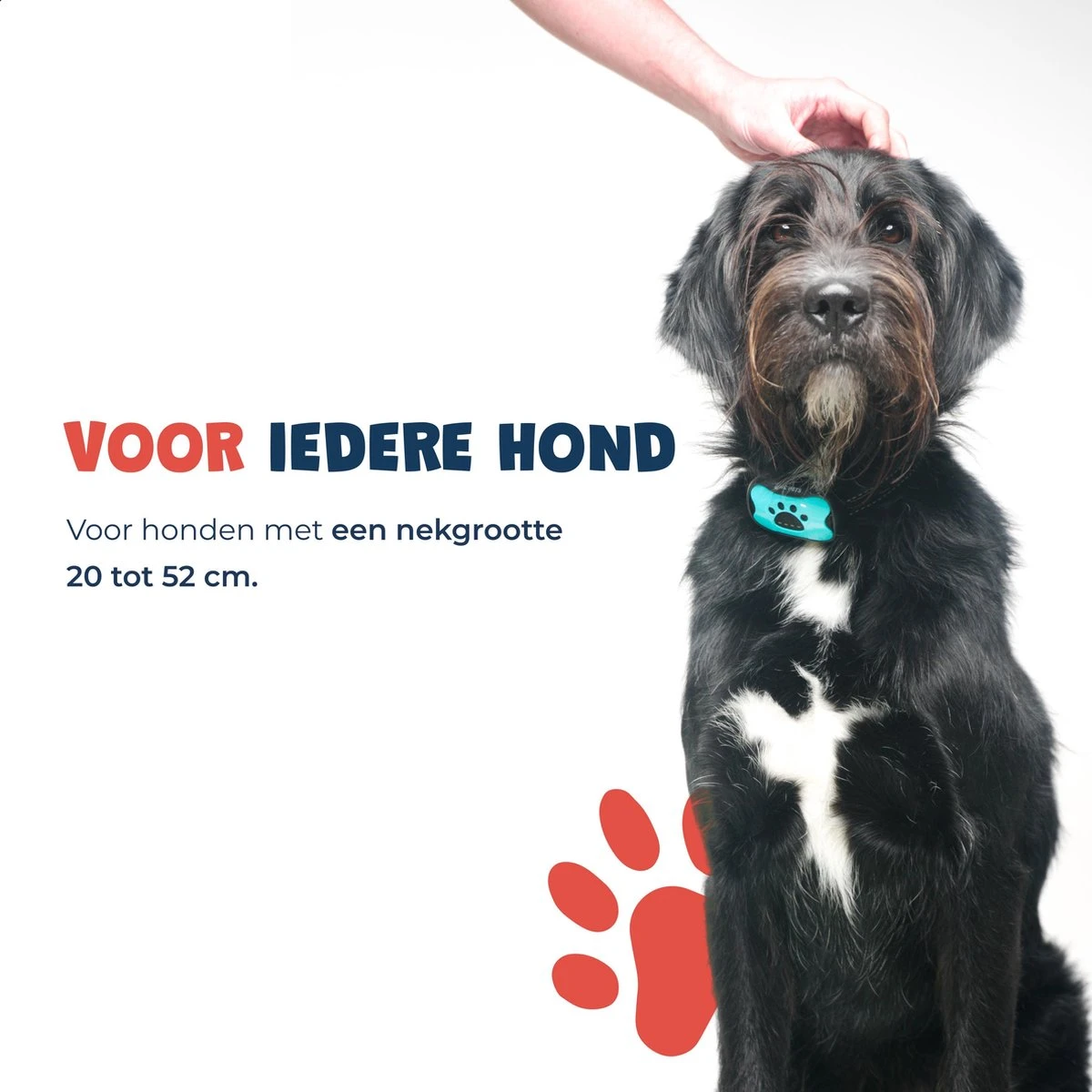 Anti Blafband - Blafband Voor Honden - Anti Blaf Apparaat - Blafband - Diervriendelijk & Zonder Schok 8 Anti Blafband - Blafband Voor Honden - Anti Blaf Apparaat - Blafband - Diervriendelijk & Zonder Schok - Afbeelding 6