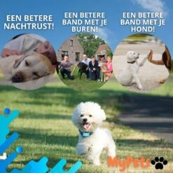 MyPets™ Anti-blafband - Anti Blaf Apparaat - Voor Kleine Honden En Grote Honden - Diervriendelijk - Opvoedingshalsband - Trainingshalsband - 2022/2023 Versie - Inclusief Batterijen -Hondenbenodigdheden 1200x1200 735