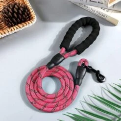 Comfortabele Hondenriem Met Gevoerd Handvat – Stevige Nylon Hondenlijn – Riem Voor Honden 10 Comfortabele Hondenriem Met Gevoerd Handvat – Stevige Nylon Hondenlijn – Riem Voor Honden -Hondenbenodigdheden 1200x1200 74