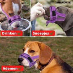 Sharon-B Muilkorf Turquoise Maat S - Fleece - Reflecterend - Kleine Hond 12 Sharon-B Muilkorf Turquoise Maat S - Fleece - Reflecterend - Kleine Hond -Hondenbenodigdheden 1200x1200 755