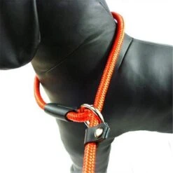 LOUZIR Cesar Millan Sliplijn Met Stop - Hondenriem - Rood - 130 Cm -Hondenbenodigdheden 1200x1200 78