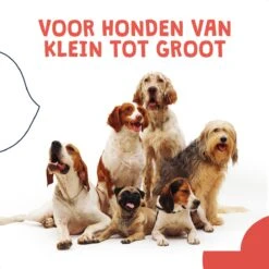 JC Pets Ultrasone Anti Blaf Apparaat Voor Kleine En Grote Honden - Oplaadbaar - Alternatief Anti Blafband Voor Honden - Diervriendelijk & Zonder Schok -Hondenbenodigdheden 1200x1200 782
