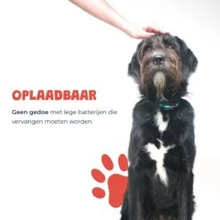 Anti Blafband - Blafband Voor Honden - Oplaadbaar - Anti Blaf Apparaat - Blafband - Diervriendelijk -Hondenbenodigdheden 1200x1200 798