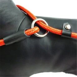 LOUZIR Cesar Millan Sliplijn Met Stop - Hondenriem - Rood - 130 Cm -Hondenbenodigdheden 1200x1200 81