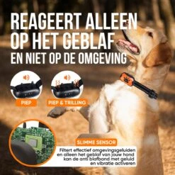 Strex Anti Blafband Voor Honden - 3-60KG - Oplaadbaar - Zonder Schok - Vibratie En Audio - Diervriendelijk - Anti Blaf Band - Anti Blaf Apparaat - Opvoedingshalsband Alle Honden 13 Strex Anti Blafband Voor Honden - 3-60KG - Oplaadbaar - Zonder Schok - Vibratie En Audio - Diervriendelijk - Anti Blaf Band - Anti Blaf Apparaat - Opvoedingshalsband Alle Honden -Hondenbenodigdheden 1200x1200 814