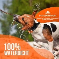 Strex Anti Blafband Voor Honden - 3-60KG - Oplaadbaar - Zonder Schok - Vibratie En Audio - Diervriendelijk - Anti Blaf Band - Anti Blaf Apparaat - Opvoedingshalsband Alle Honden 15 Strex Anti Blafband Voor Honden - 3-60KG - Oplaadbaar - Zonder Schok - Vibratie En Audio - Diervriendelijk - Anti Blaf Band - Anti Blaf Apparaat - Opvoedingshalsband Alle Honden -Hondenbenodigdheden 1200x1200 816