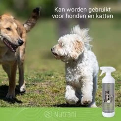 Nutrani Geurverwijderaar, 750 Ml, Natuurlijke Enzymreiniger Als Gebruiksklare Spray Met Biologische Werking, Verwijdert Geurtjes, Urine, Poep En Vlekken Van Honden En Katten 10 Nutrani Geurverwijderaar, 750 Ml, Natuurlijke Enzymreiniger Als Gebruiksklare Spray Met Biologische Werking, Verwijdert Geurtjes, Urine, Poep En Vlekken Van Honden En Katten -Hondenbenodigdheden 1200x1200 841
