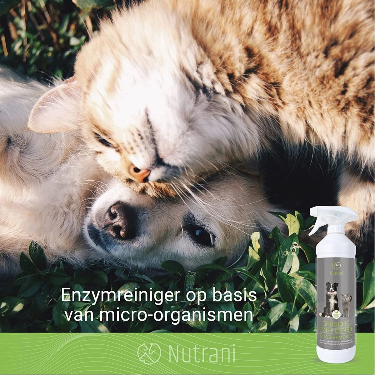 Nutrani Geurverwijderaar, 750 Ml, Natuurlijke Enzymreiniger Als Gebruiksklare Spray Met Biologische Werking, Verwijdert Geurtjes, Urine, Poep En Vlekken Van Honden En Katten 6 Nutrani Geurverwijderaar, 750 Ml, Natuurlijke Enzymreiniger Als Gebruiksklare Spray Met Biologische Werking, Verwijdert Geurtjes, Urine, Poep En Vlekken Van Honden En Katten - Afbeelding 4