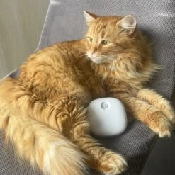 Pettadore Air Insight - Kattenbak Geurverdrijver & Teller - Actieve Zuurstof En Ionen - Oplaadbaar - Met App -Hondenbenodigdheden 1200x1200 870