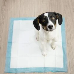 Springos Puppy Training Pads| Plasmatjes Hond | Zindelijkheidstraining | 10 Stuks | 35 X 45 Cm -Hondenbenodigdheden 1200x1200 872