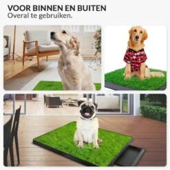 Merkloos Hondentoilet Kunstgras Met Bak - Indoor Dierentoilet - Uitneembare Opvangbak - Puppy Training Pets - Outdoor/Balkon/Tuin/Indoor Toilet - 50x64 Cm 17 Merkloos Hondentoilet Kunstgras Met Bak - Indoor Dierentoilet - Uitneembare Opvangbak - Puppy Training Pets - Outdoor/Balkon/Tuin/Indoor Toilet - 50x64 Cm -Hondenbenodigdheden 1200x1200 884