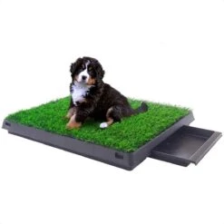Merkloos Hondentoilet Kunstgras Met Bak - Indoor Dierentoilet - Uitneembare Opvangbak - Puppy Training Pets - Outdoor/Balkon/Tuin/Indoor Toilet - 50x64 Cm 19 Merkloos Hondentoilet Kunstgras Met Bak - Indoor Dierentoilet - Uitneembare Opvangbak - Puppy Training Pets - Outdoor/Balkon/Tuin/Indoor Toilet - 50x64 Cm -Hondenbenodigdheden 1200x1200 886