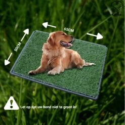Merkloos Gtrise Hondentoilet Met 2 Matten - Out/Indoor - Zindelijkheidstraining Ebook - Dieren Wc 17 Merkloos Gtrise Hondentoilet Met 2 Matten - Out/Indoor - Zindelijkheidstraining Ebook - Dieren Wc -Hondenbenodigdheden 1200x1200 899