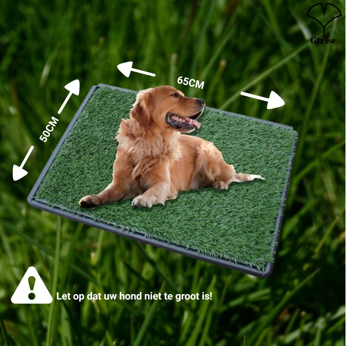 Merkloos Gtrise Hondentoilet Met 2 Matten - Out/Indoor - Zindelijkheidstraining Ebook - Dieren Wc 10 Merkloos Gtrise Hondentoilet Met 2 Matten - Out/Indoor - Zindelijkheidstraining Ebook - Dieren Wc - Afbeelding 8