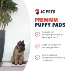 JC Pets Premium Puppy Training Pads - Hondentoilet - Zindelijkheidstraining Hond - 50 Stuks - 60 X 45 Cm 15 JC Pets Premium Puppy Training Pads - Hondentoilet - Zindelijkheidstraining Hond - 50 Stuks - 60 X 45 Cm -Hondenbenodigdheden 1200x1200 908