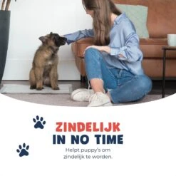 JC Pets Premium Puppy Training Pads - Hondentoilet - Zindelijkheidstraining Hond - 50 Stuks - 60 X 45 Cm 16 JC Pets Premium Puppy Training Pads - Hondentoilet - Zindelijkheidstraining Hond - 50 Stuks - 60 X 45 Cm -Hondenbenodigdheden 1200x1200 909