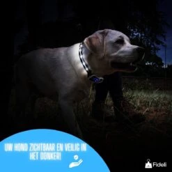 Fideli Anti Blafband - Zonder Schok - Grote En Kleine Honden - Oplaadbaar - LED Verlichte Band -Hondenbenodigdheden 1200x1200 918