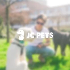 Anti Blafband - Blafband Voor Honden - Oplaadbaar - Anti Blaf Apparaat - Blafband - Diervriendelijk -Hondenbenodigdheden 1200x1200 925