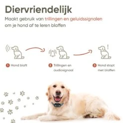 Premium Anti Blafband Apparaat Om Je Hond Snel En Effectief Te Laten Stoppen Met Blaffen - Diervriendelijke Opvoedingshalsband Zonder Schok - Trainingshalsband Voor Grote En Kleine Honden - Anti Blaf Apparaat - Correctie Halsband -Hondenbenodigdheden 1200x1200 945