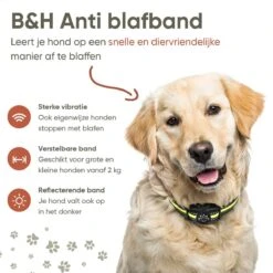 Premium Anti Blafband - Diervriendelijke Opvoedingshalsband Zonder Schok - Trainingshalsband Voor Grote En Kleine Honden - Anti Blaf Band - Correctie Halsband -Hondenbenodigdheden 1200x1200 964