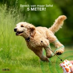 Merkloos LotaHome - Anti Blaf Apparaat - Hondentrainer Voor Binnen En Buiten - Bereik Tot 15 Meter - Diervriendelijk - Zonder Schok - Ultrasone - Voor Alle Honden - Inclusief Clicker -Hondenbenodigdheden 1200x1200 969