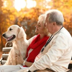 Merkloos LotaHome - Anti Blaf Apparaat - Hondentrainer Voor Binnen En Buiten - Bereik Tot 15 Meter - Diervriendelijk - Zonder Schok - Ultrasone - Voor Alle Honden - Inclusief Clicker -Hondenbenodigdheden 1200x1200 971