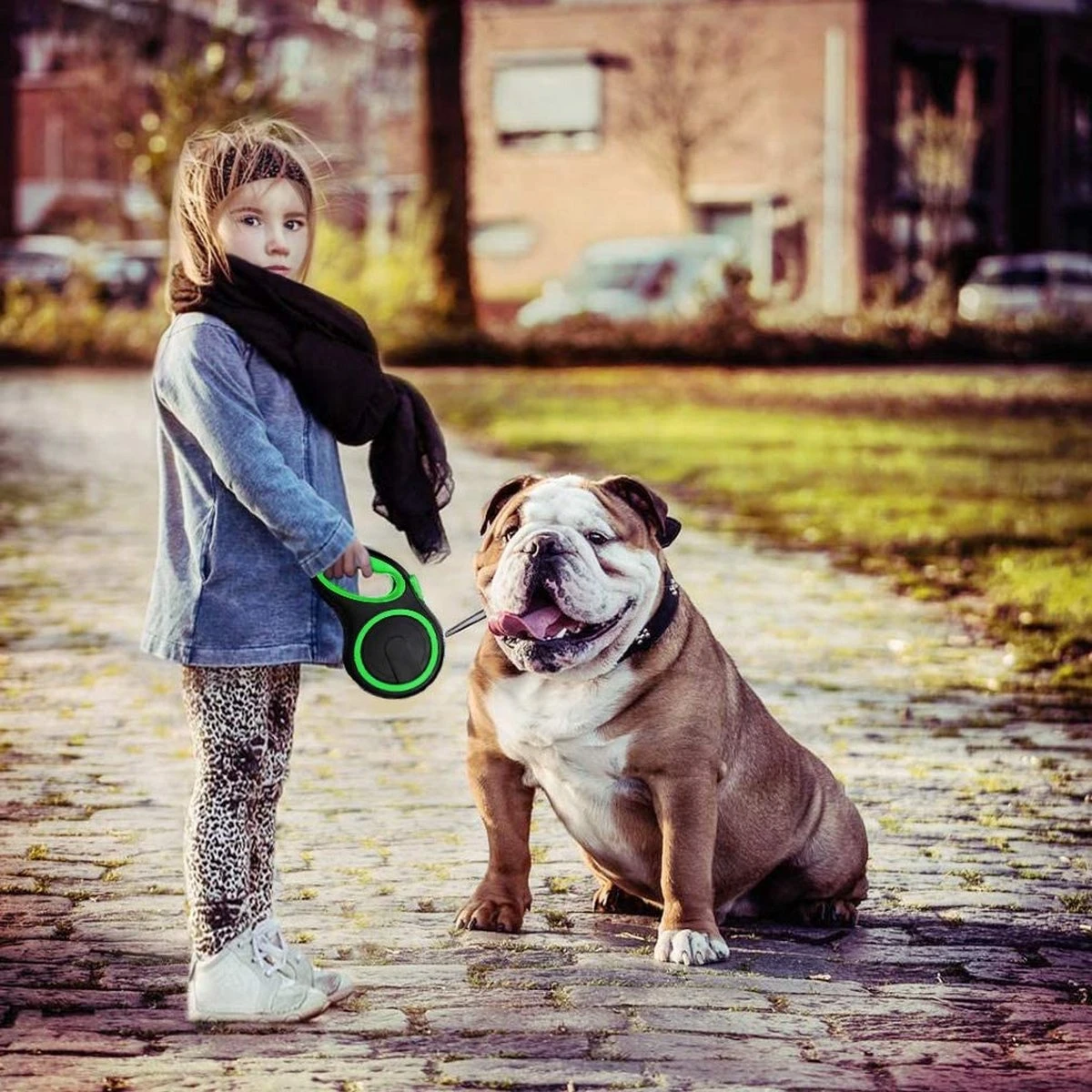 IGOODS - Hondenriem - Katten Riem - Uitlaatriem Voor Honden En Katten - Honden Riem- Rollijn - 5 Meter Lang 8 IGOODS - Hondenriem - Katten Riem - Uitlaatriem Voor Honden En Katten - Honden Riem- Rollijn - 5 Meter Lang - Afbeelding 6