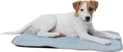 Trixie Junior Ligmat Fresh Lichtblauw - 60X50 CM 20 Trixie Junior Ligmat Fresh Lichtblauw - 60X50 CM -Hondenbenodigdheden 1200x512 1