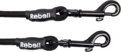 Rebel Petz - Dubbele Verstelbare Hondenriem Voor Twee Honden - Met Draaibare Sluiting En Zacht Handvat - Small En Large - Small (140 Cm Lang, Ø 8 Mm) -Hondenbenodigdheden 1200x523 1