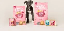 Edgard & Cooper Eend & Kip Blik - Voor Puppy's - Hondenvoer - 12 X 400 G -Hondenbenodigdheden 1200x581