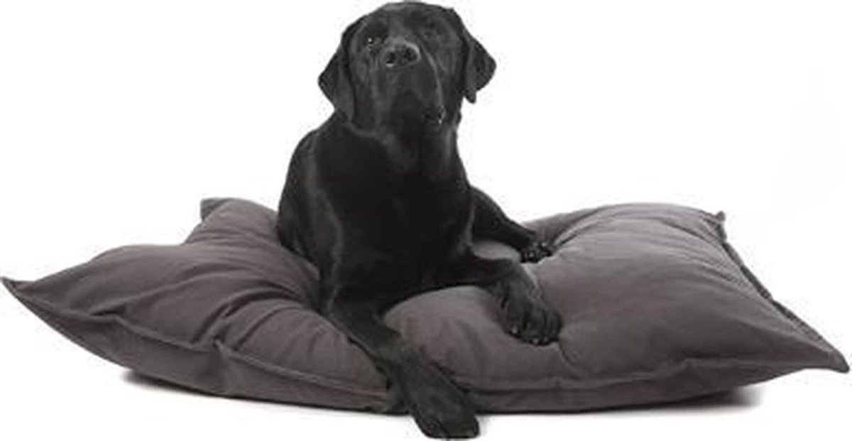 Lex & Max Tivoli - Losse Hoes Voor Hondenkussen - Rechthoek - Antraciet - 100x70cm 6 Lex & Max Tivoli - Losse Hoes Voor Hondenkussen - Rechthoek - Antraciet - 100x70cm - Afbeelding 5