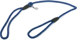 Merkloos Slipriem - Nylon - Riem Voor Hond - Blauw -Hondenbenodigdheden 1200x629