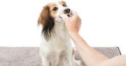 Trixie Verzorgingsvinger - 50 Stuks -Hondenbenodigdheden 1200x630 1