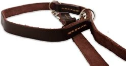 Multifunctionele Hondenriem - 220cm - Bruin - Leren Hondenriem - 100% Volnerfleer - Hondenriem Leer - Leiband Hond -Hondenbenodigdheden 1200x631