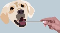 AE Dogz Tandsteenverwijderaar/Tandenkrabber 8 AE Dogz Tandsteenverwijderaar/Tandenkrabber -Hondenbenodigdheden 1200x663 4